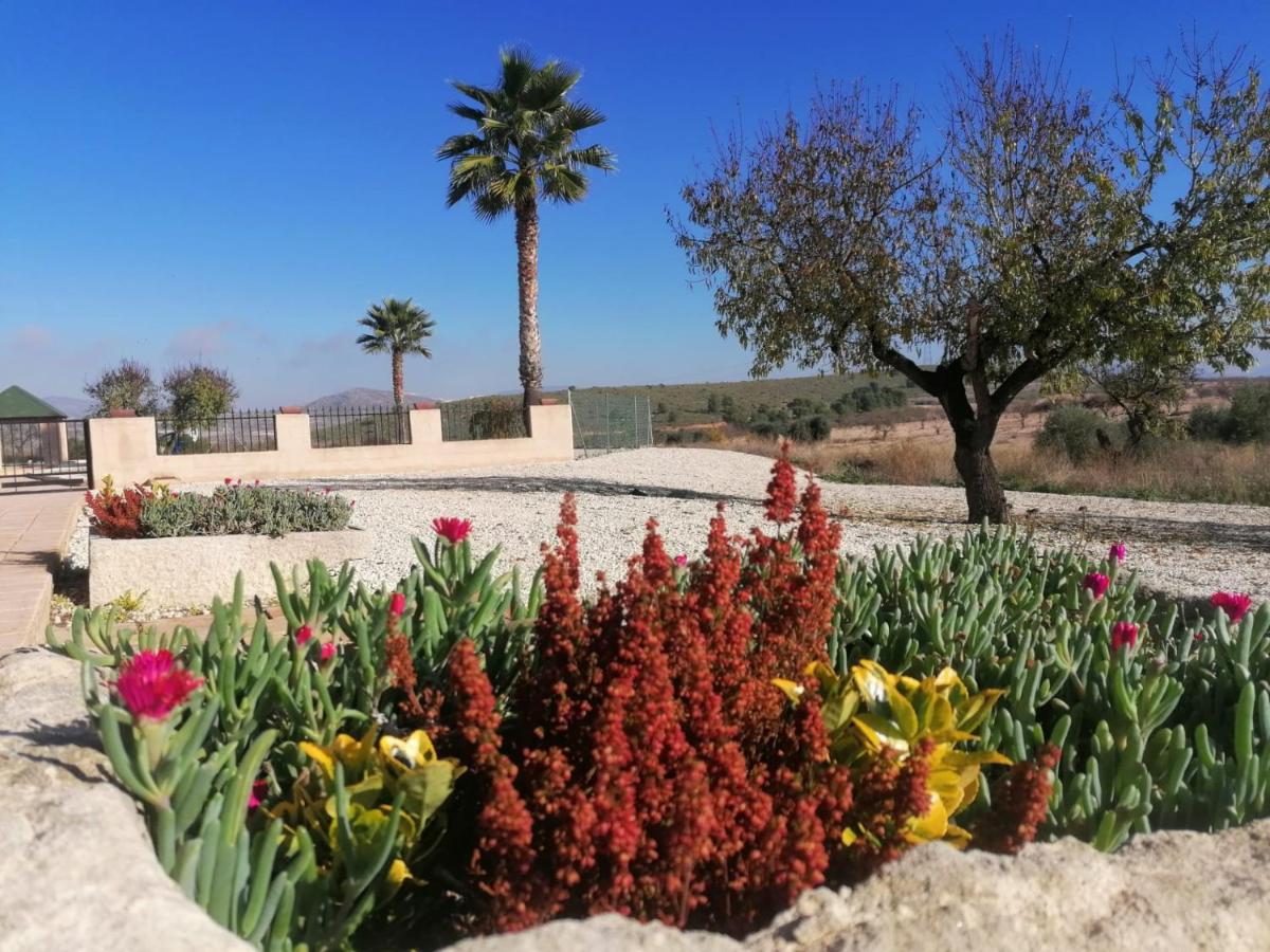 Finca Guillermo Murcia Canada del Trigo Exterior photo